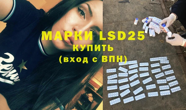индика Баксан
