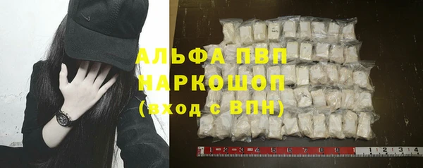 индика Баксан