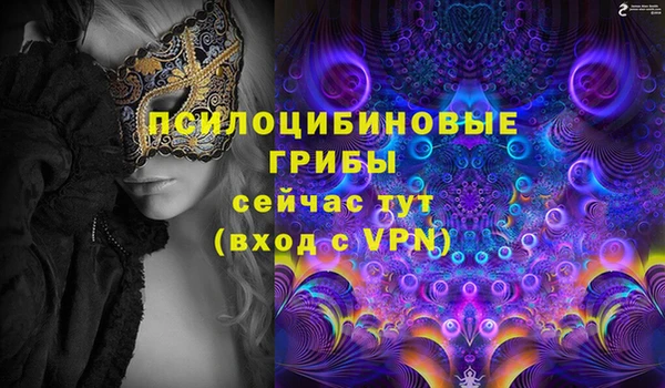 индика Баксан