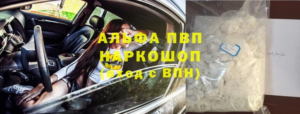 индика Баксан