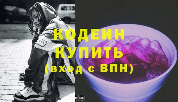 индика Баксан