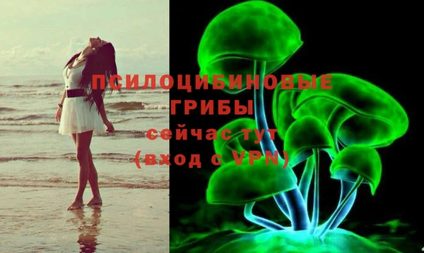 индика Баксан