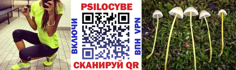 дарнет шоп Изобильный Галлюциногенные грибы MAGIC MUSHROOMS